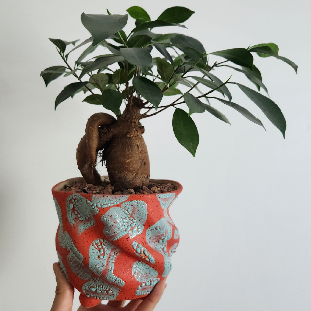 Image courtesy of Christin Apodaca